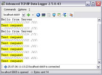 TCP logger. Main window.